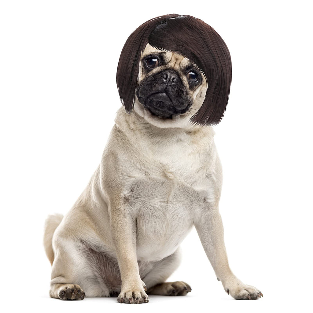 Pet Cosplay Wig - Adjustable Halloween Costume