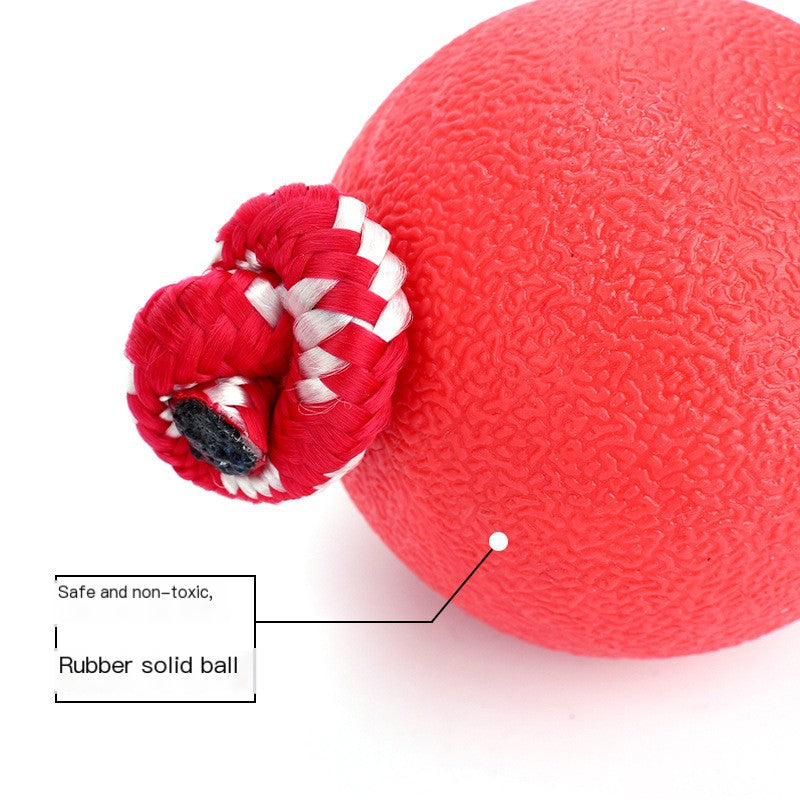 Durable Rubber Chew Ball for Dogs with Rope Option