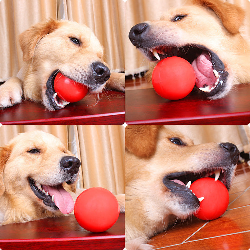 Durable Rubber Chew Ball for Dogs with Rope Option