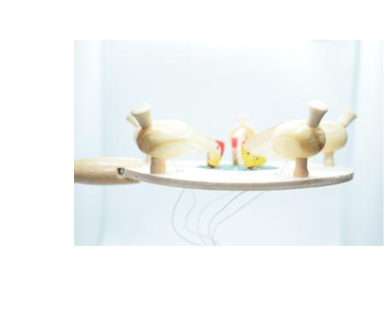 Wooden Toy Chicken Eating Rice